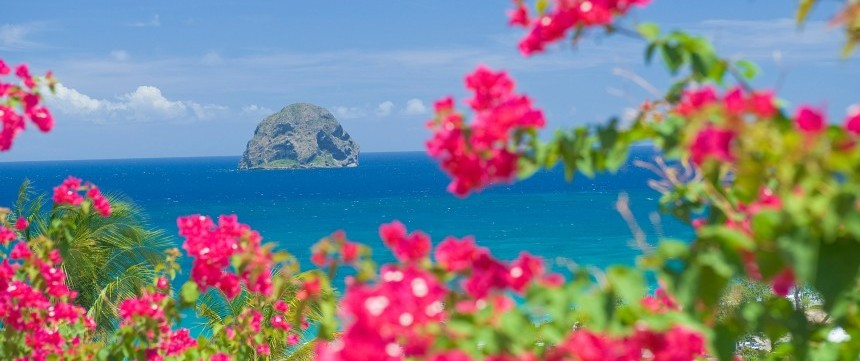 Rocher du Diamant - Martinique