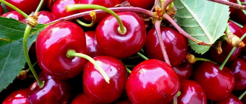 Cerises bien mures