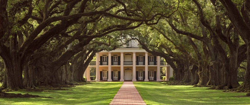 Plantation Oak Alley